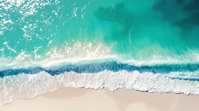 夏日浪潮新片